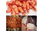 Морепродукты