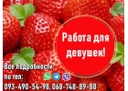 Мы приглашаем девушек на стабильные заработки
